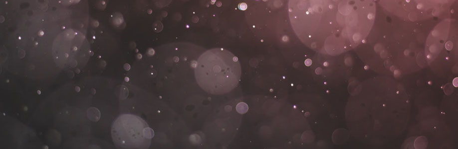 sophia00253983 Cover Image
